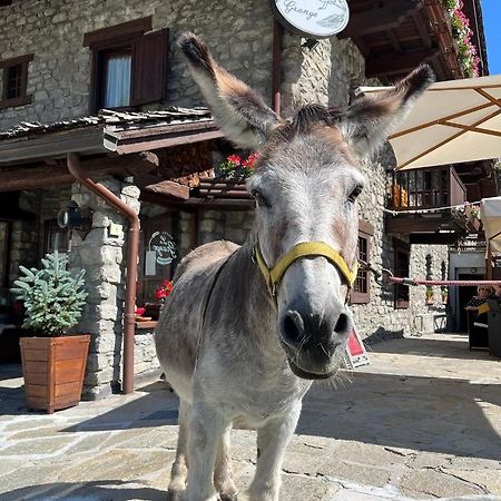 Hotel La Grange - Animal Chic Hotel Courmayeur Eksteriør billede
