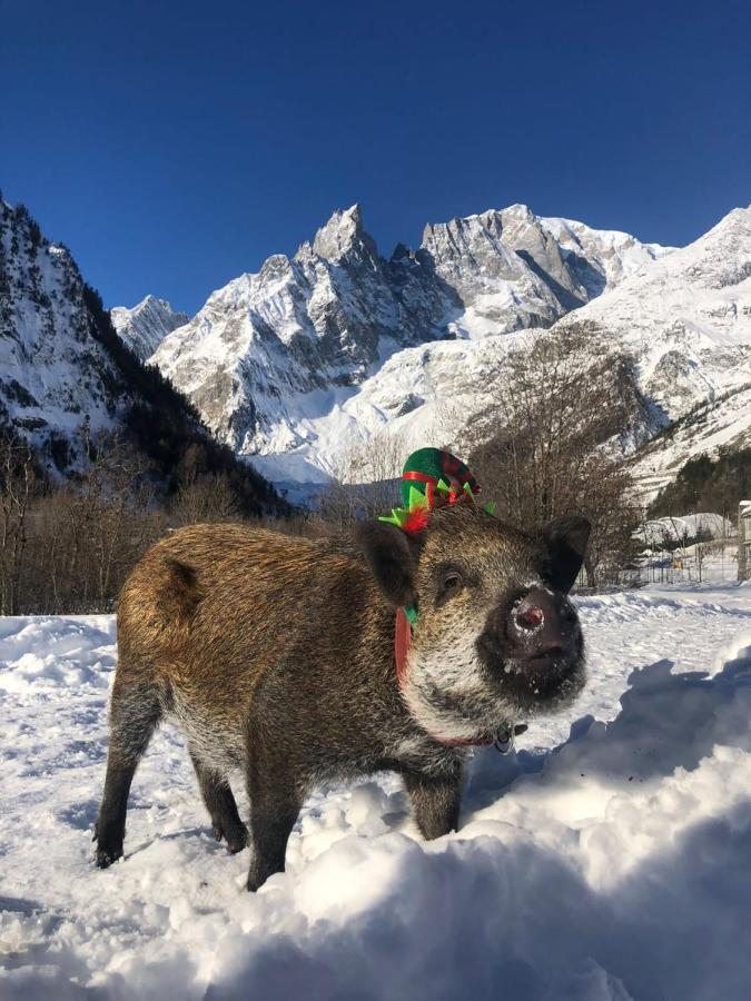 Hotel La Grange - Animal Chic Hotel Courmayeur Eksteriør billede
