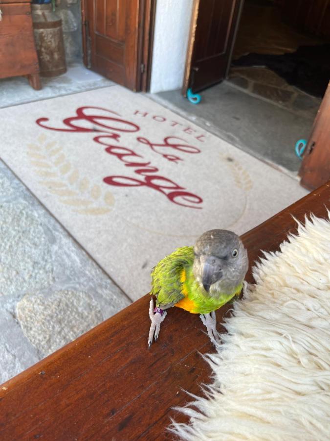 Hotel La Grange - Animal Chic Hotel Courmayeur Eksteriør billede